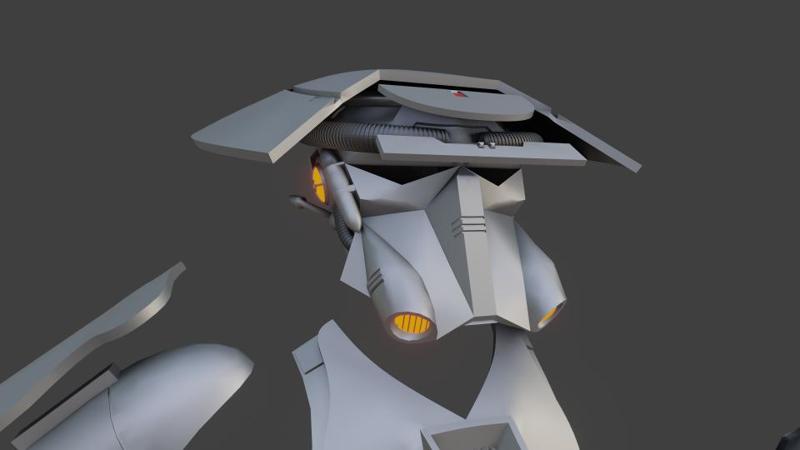 SWG Lifesize RIS Helmet