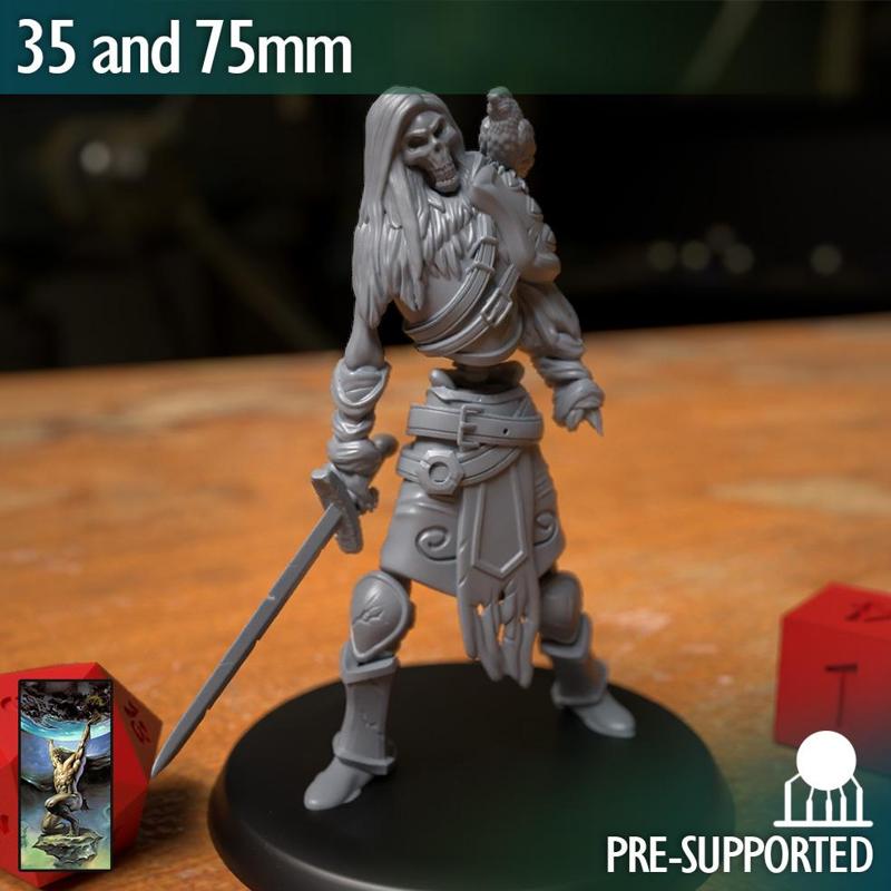 Draugr Undead Skeleton Fighter Warrior Sword