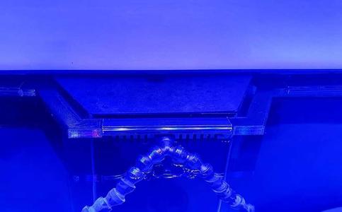 Aquasys 326 Reef Aquarium Net Cover