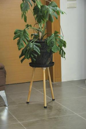 Tripod Plant holder 