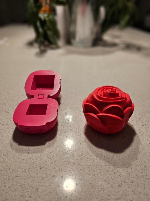 Print in place Flower Ring-Box-Storage x4