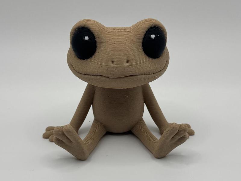 Puerto Rican Coqui