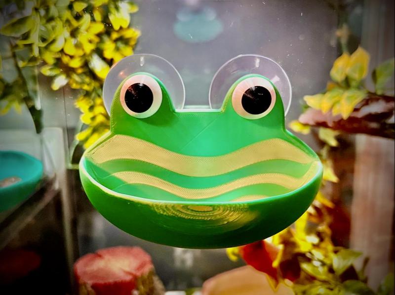 Frog Habitat Terrarium Wall Hanging Dish