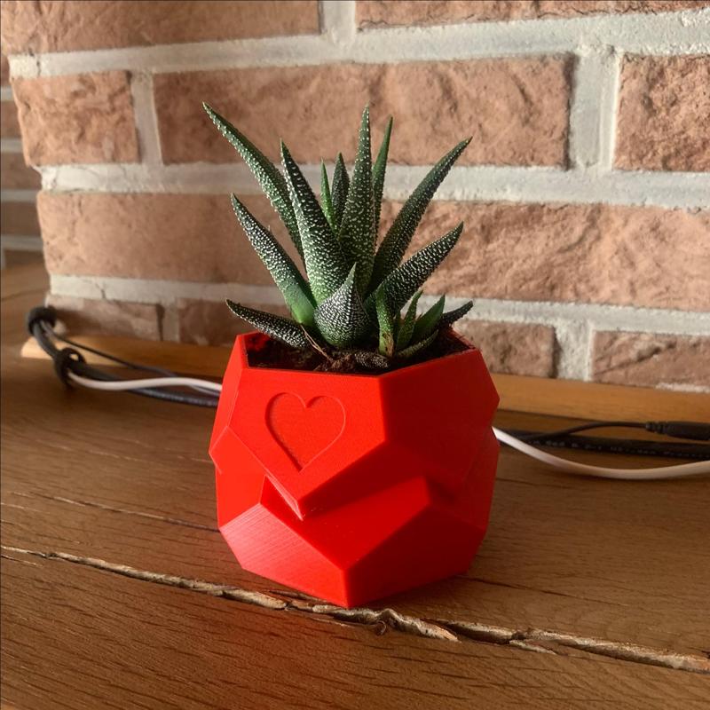 Polygon Planter
