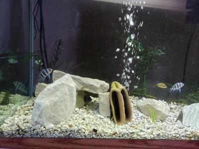 Aquarium Decoration - Rock Shard - Small