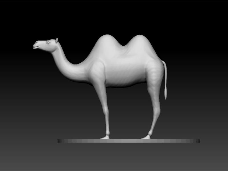 Camel