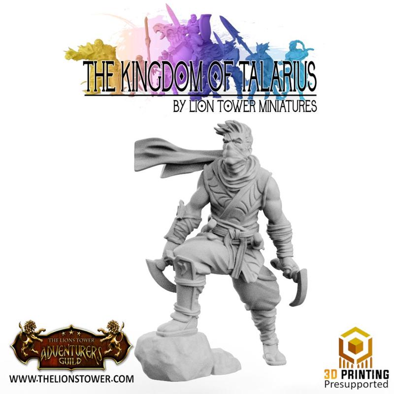 Kingdom of Talarius - Kotaro, Assassin - 32mm Presupported