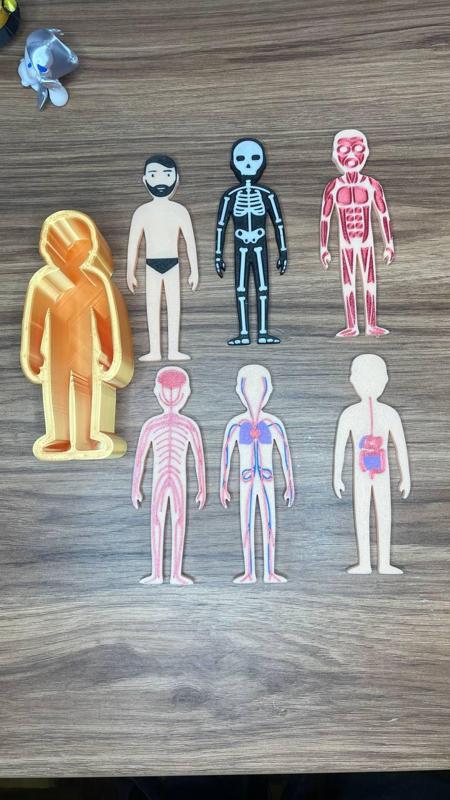 Body Diagram - PUZZLE