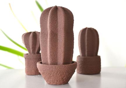 Catus