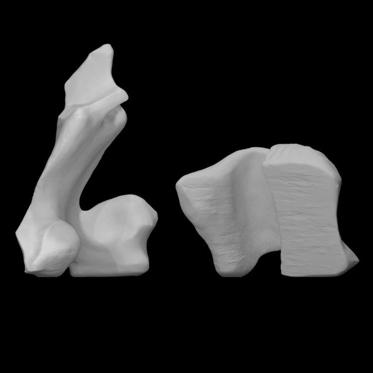 Abstract pond sculpture