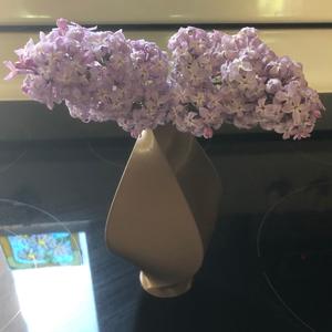 Square Vase