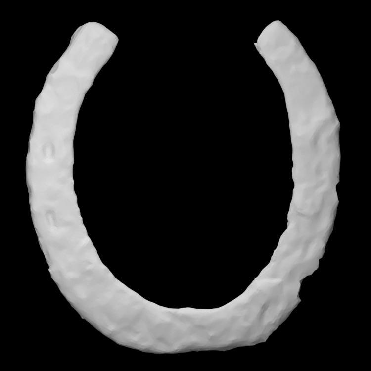 Horseshoe