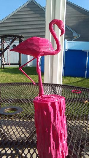 Flamingo