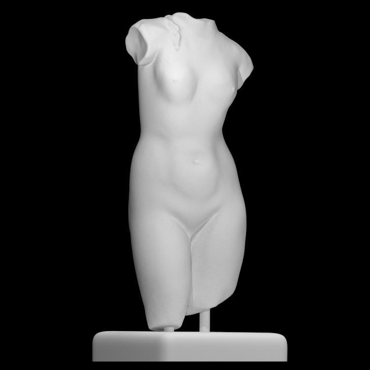 Torso of a Woman