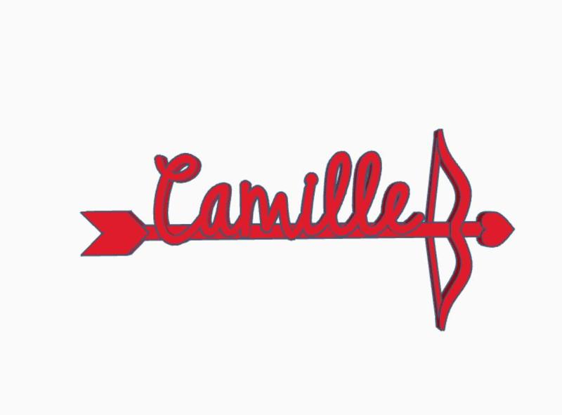 Valentine's Day decoration Camille