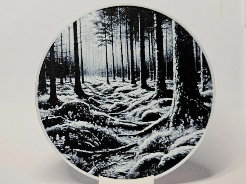 Forest Clearing Coaster