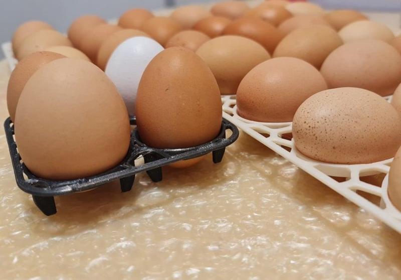 Customizable Minimalistic Egg Tray