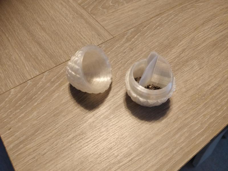 Dragon egg with devider