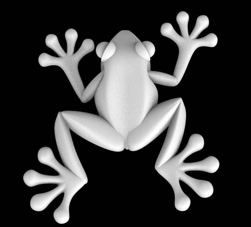frog