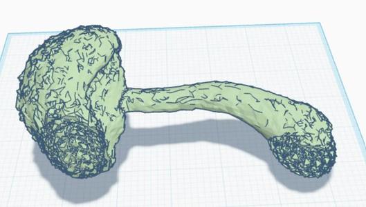 chlorophyllum molybdites