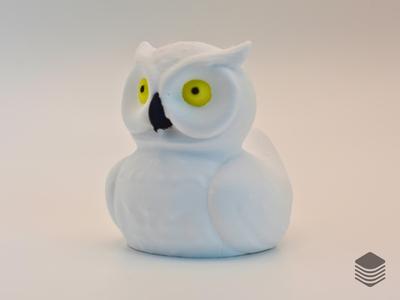 Owl Duck