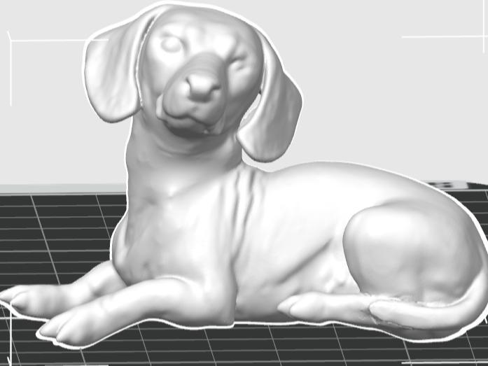 Miniature Dachshund