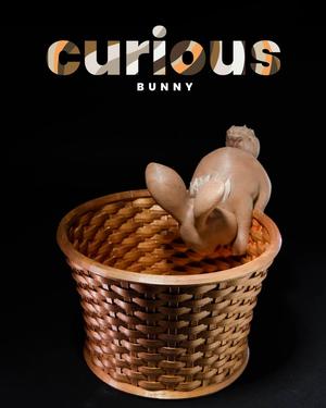 Easter Bunny Baskets - Curious Bunny