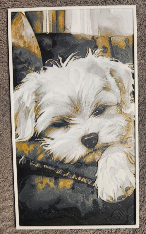 Cute Maltese - HueForge