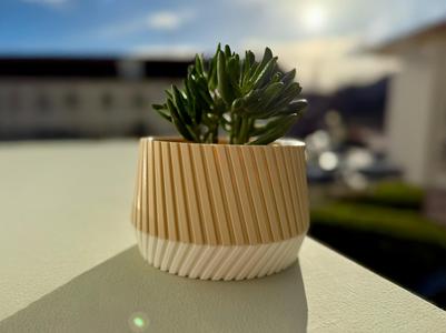 Wide Plant Pot for Mama
