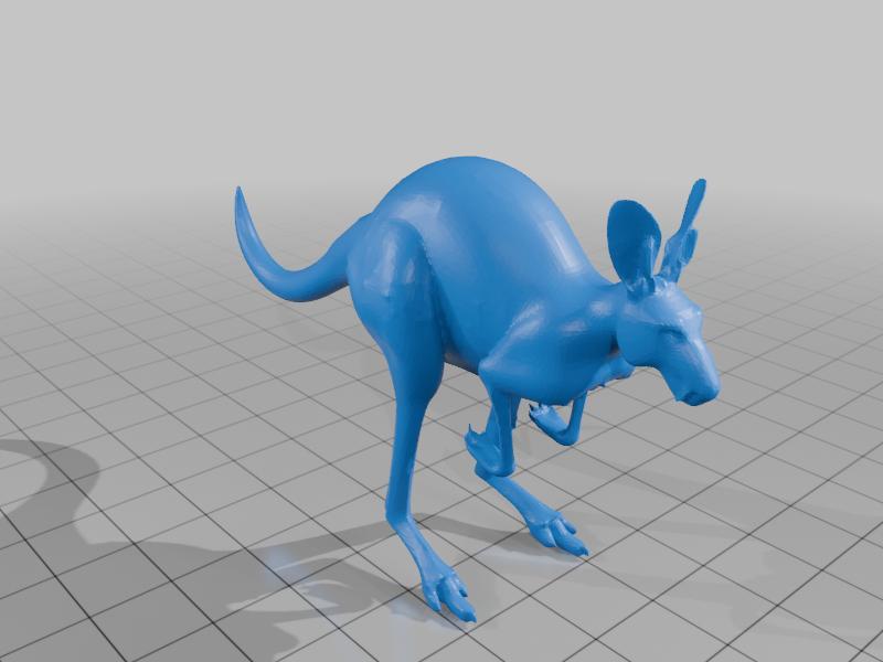 Kangaroo