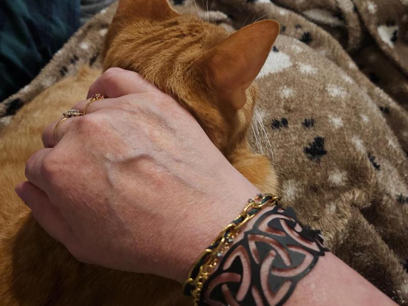 tatoo celtic bracelet
