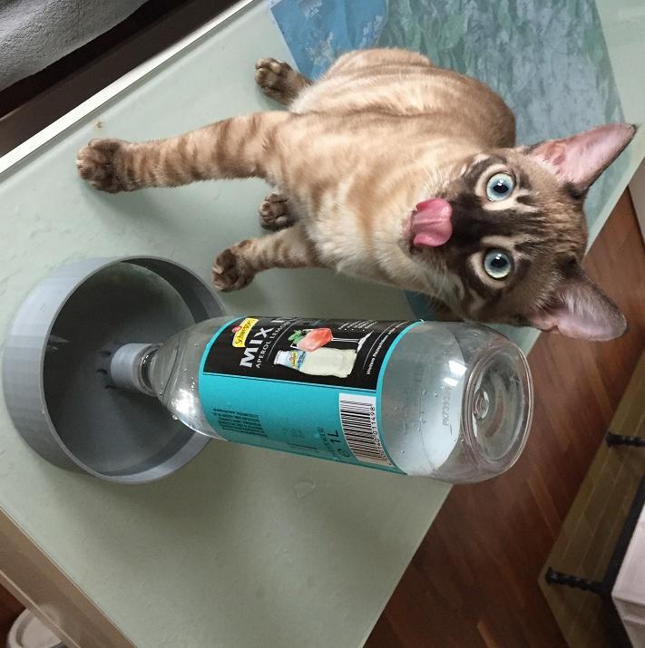 puppy kitten cat dog bowl - watering place for PET Bottle