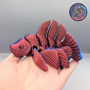 flexi beta fish
