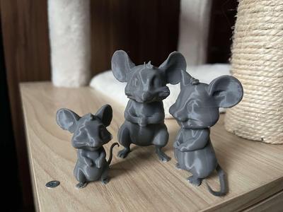 Cute rat family