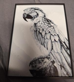 parrot Hue forge