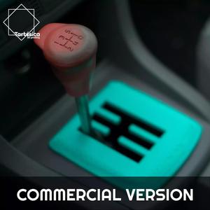 KNOB AND SHIFT SHIFT GUIDES FORD FOCUS MK2 commercial version
