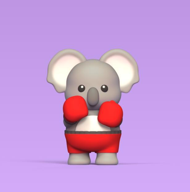 Koala Boxe