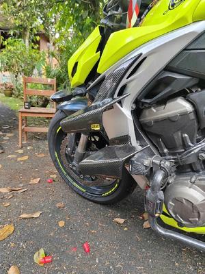 Winglet / Spoiler / spoiler for KAWASAKI Z1000