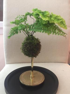 Kokedama with central-watering
