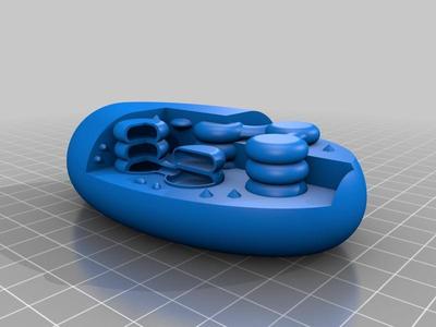 Plant cell Chloroplast model