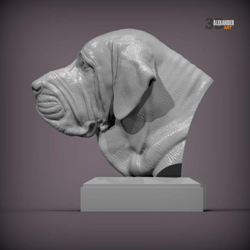Fila Brasileiro Bust