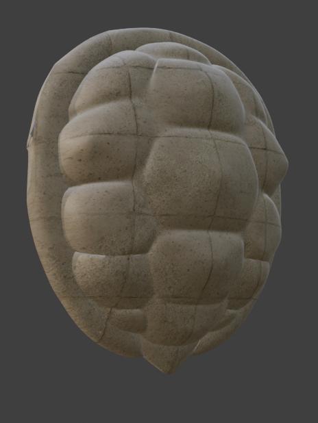 Master Roshi Turtle Shell - Dragon Ball Anime 3D Print STL