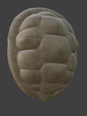 Master Roshi Turtle Shell - Dragon Ball Anime 3D Print STL
