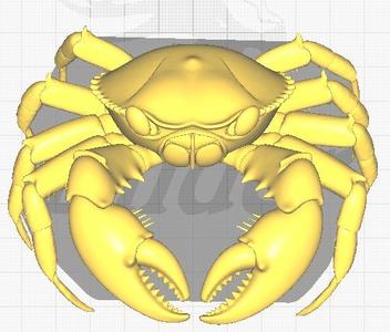 Crab 3D Model - Anatomical Detail and Natural Style
