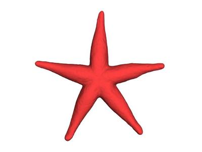 starfish 02