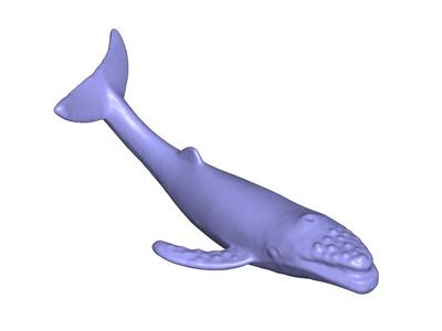 whale 03