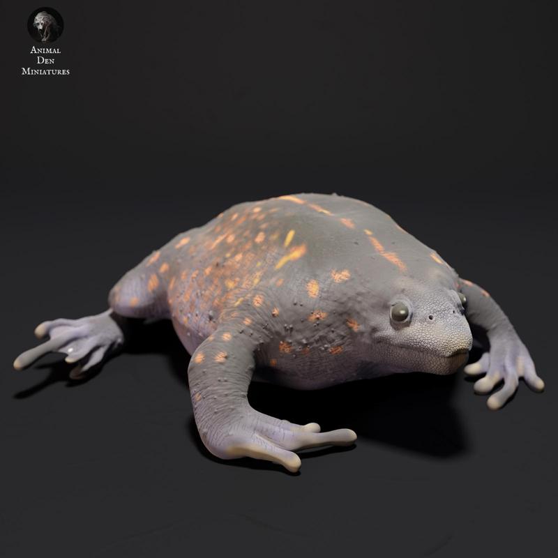 Mexican Burrowing Toad