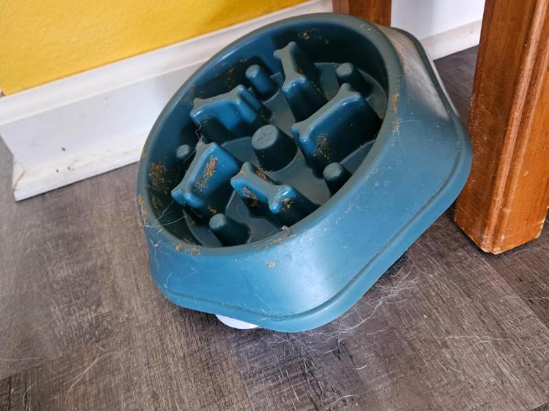 dog bowl riser
