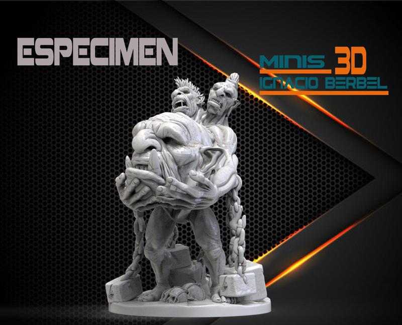 SPECIMEN IN STL