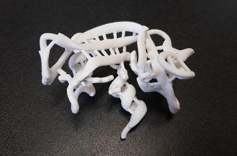 RNase A or ribonuclease A
